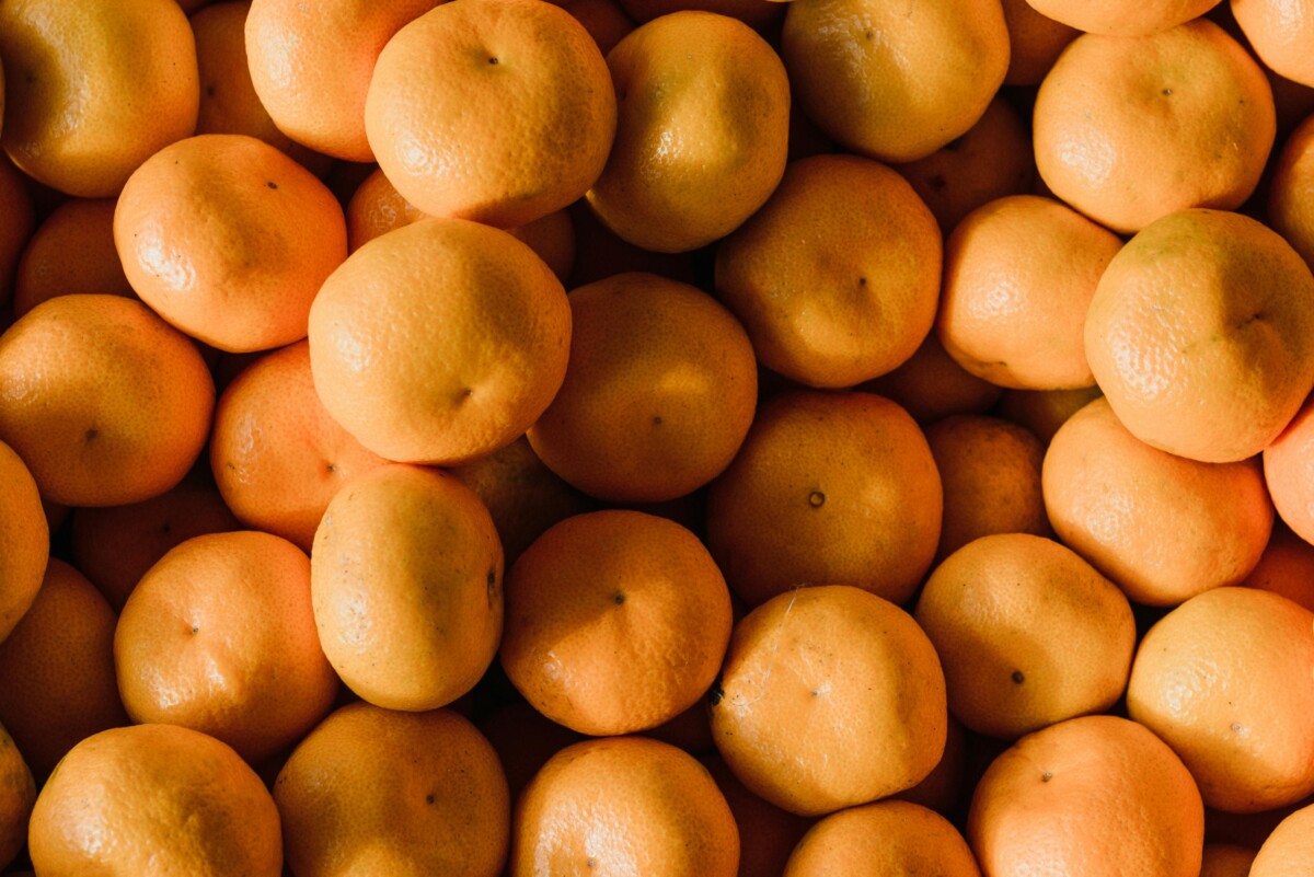 pexels arina krasnikova 6317434